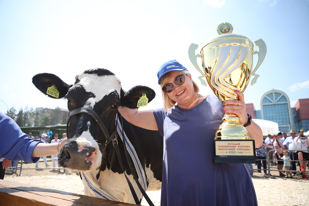 Победительница конкурса корова Родина