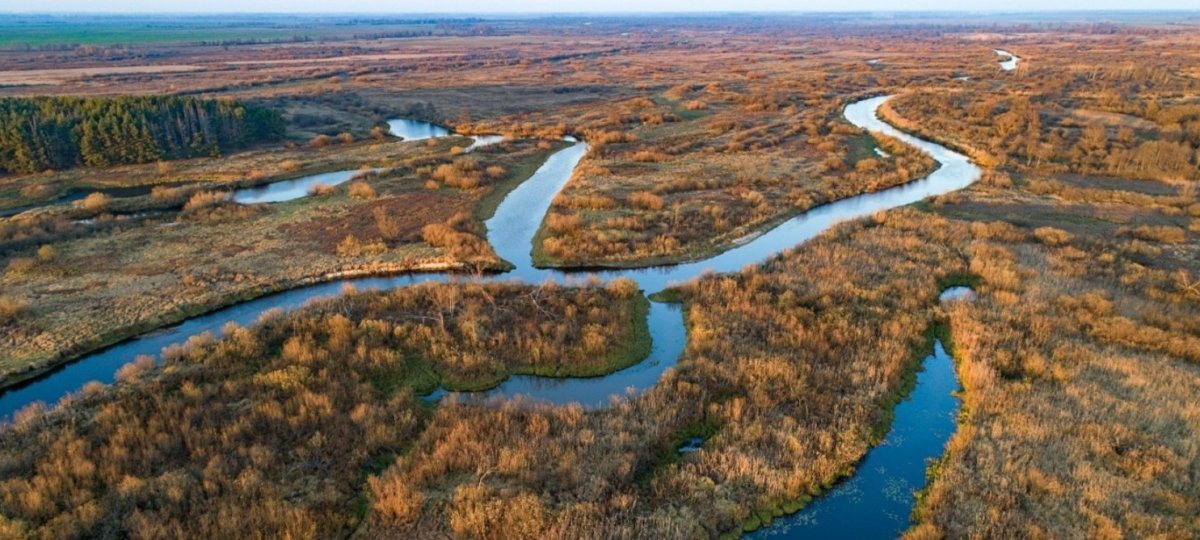 Заказник «Простырь» в Пинском районе.
