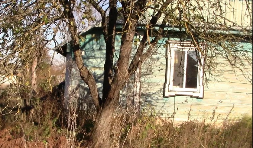 Дом в деревне Хоромск Столинского района. Фото: sk.gov.by.