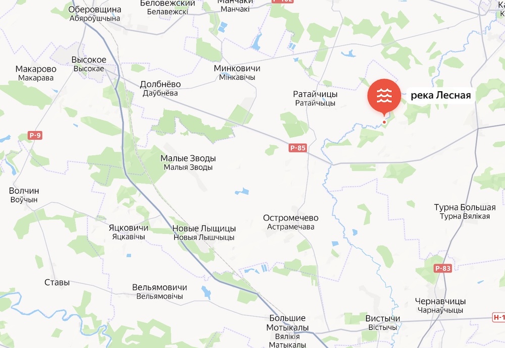 Скриншот карты Каменецкого района