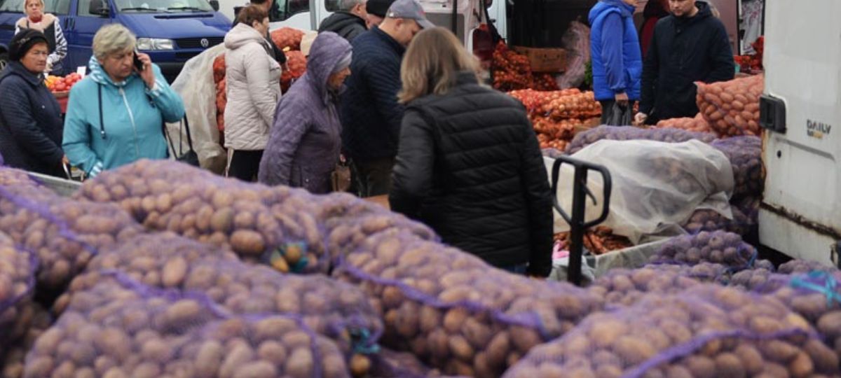Ярмарка, Брест, картошка, покупки, овощи
