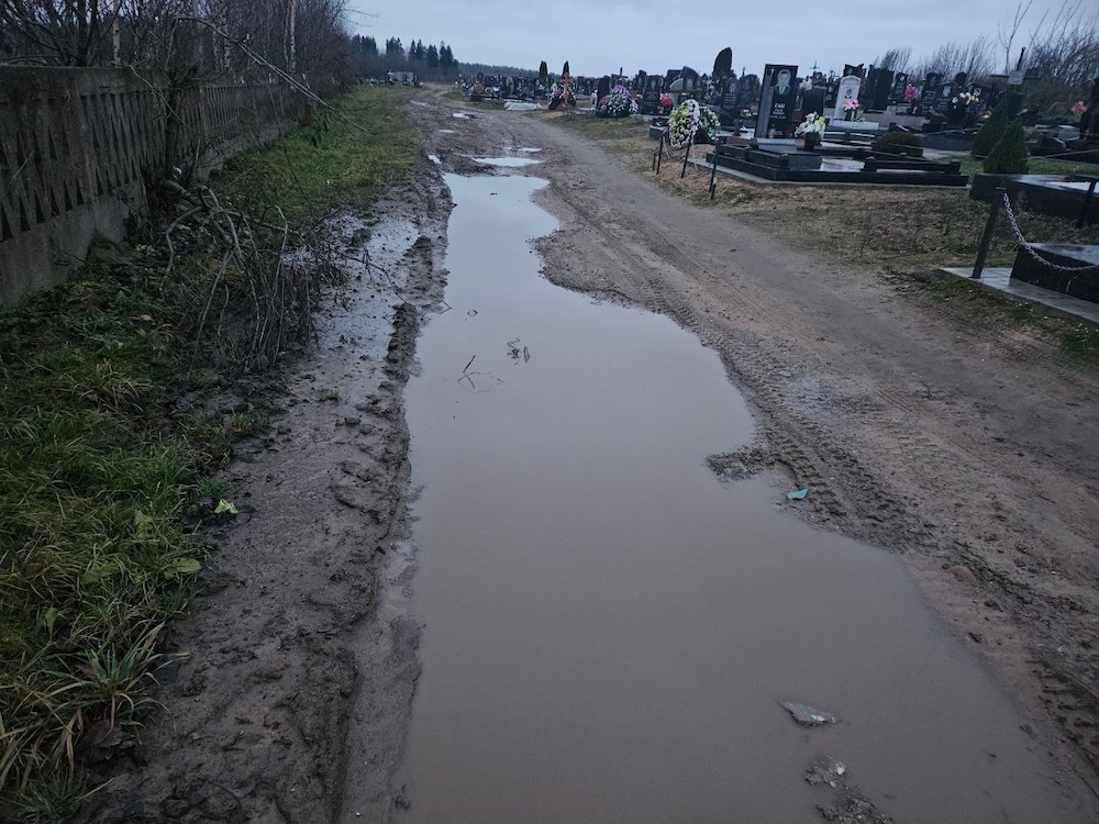 Состояние кладбища в агрогородке Хожово Молодечненского района.