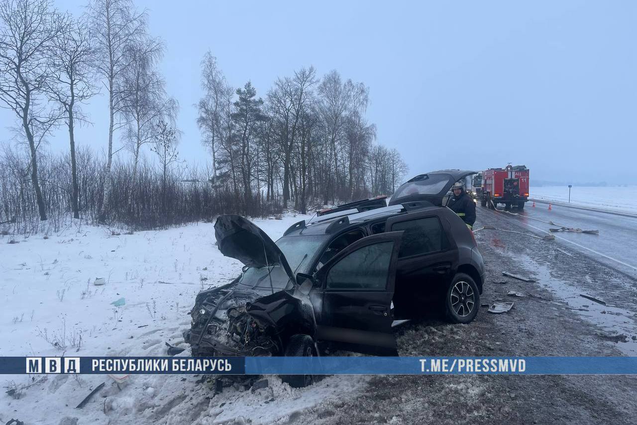 ДТП на автодороге Р-83 «Брест–Каменец–Национальный парк «Беловежская пуща».