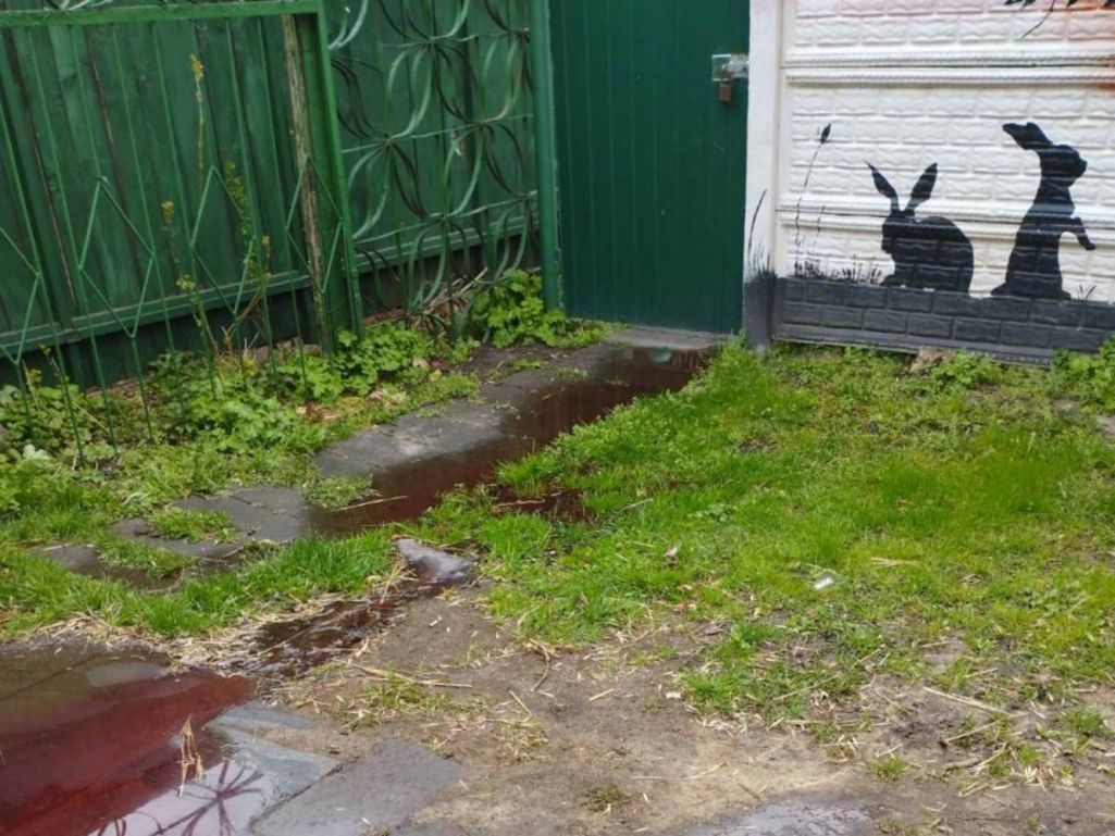 Лужа крови от свиньи, зарезанной прямо в уголке живой природы в Парке культуры и отдыха в Бресте. Фото: пользователи соцсетей