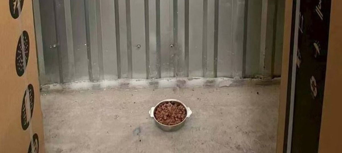 Миска с ядом для котов на предприятии в Барановичах