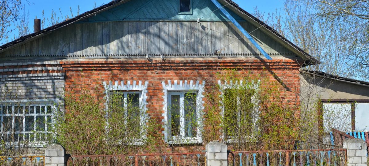 Дом в деревне Старая Алешня Рогачевского района Гомельской области