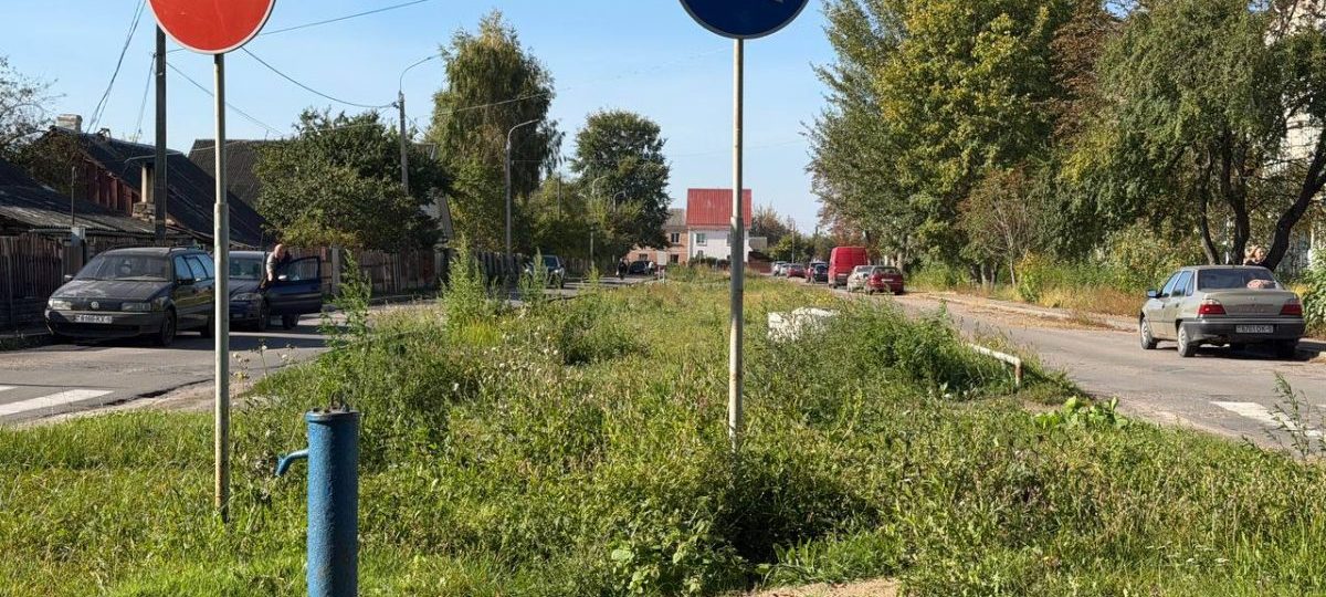 непокошенная трава